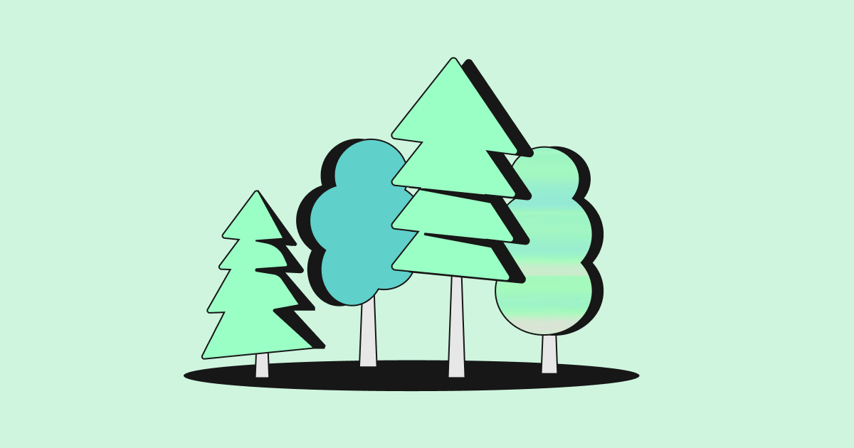 Graviton The tech sprint that grew a forest-featured